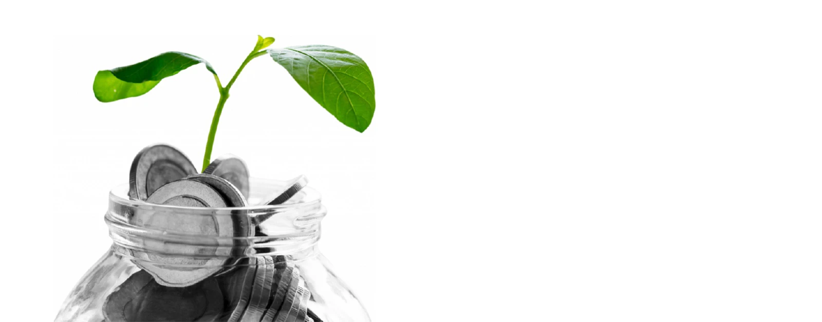 Resources/6/PS-banner-ar.webp